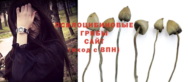 мяу мяу мука Абдулино