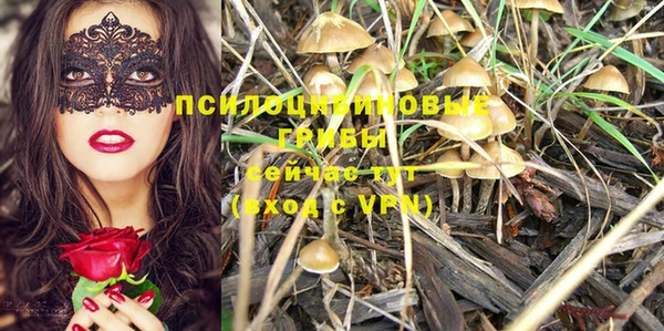 мяу мяу мука Абдулино