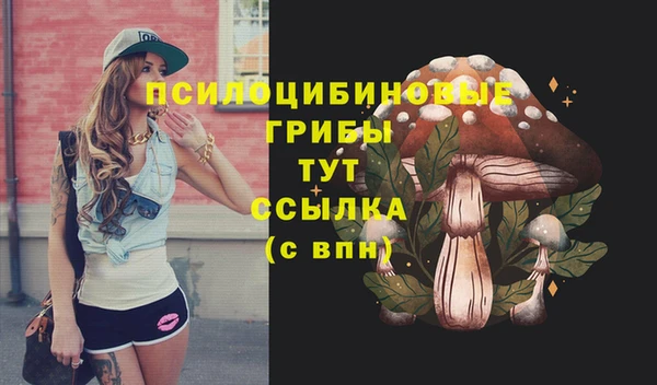 героин Абаза