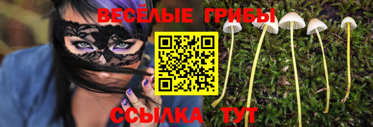 Псилоцибиновые грибы Psilocybine cubensis  магазин продажи   Сарапул  Галлюциногенные грибы мухоморы  Вход с VPN 