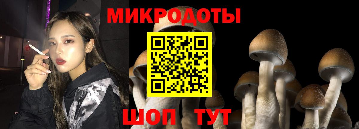 Псилоцибиновые грибы Psilocybine cubensis Сарапул